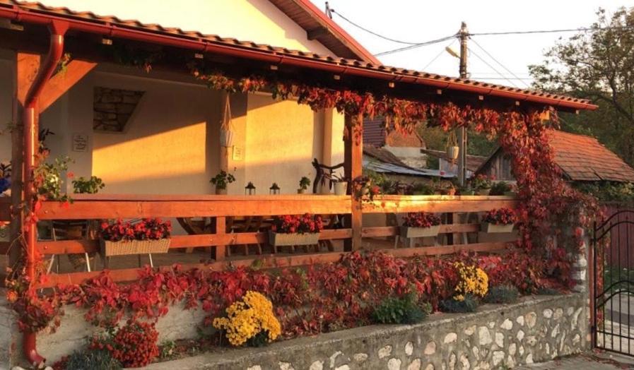 Casa de Vacanta Potoc Exterior foto